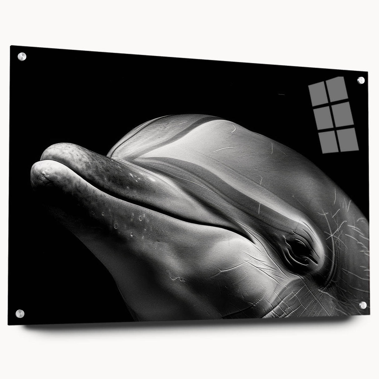 Acrylic wall art showcasing a vibrant dolphin design in a marine life theme, viewed from the side with visible mounting pins, ideal for ocean-themed decor.