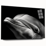 Acrylic wall art collection showcasing a vibrant dolphin design, highlighting marine life. The piece features a sleek side view and a glossy finish, perfect for ocean-themed decor.