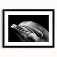 Framed wall art showcasing a captivating dolphin design in a black frame with a mat. This marine life piece adds a vibrant touch to any decor, perfect for ocean enthusiasts.