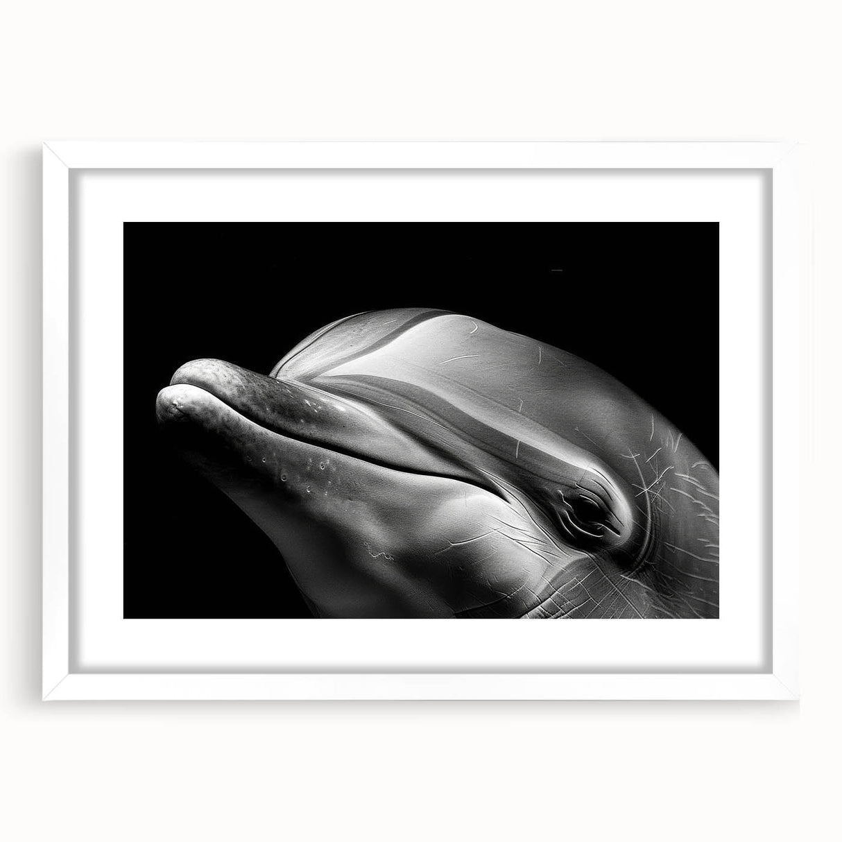Dolphin-themed wall art collection framed in white, showcasing vibrant marine life design with a mat, perfect for ocean-inspired decor in homes or offices.