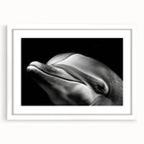 Dolphin-themed wall art collection framed in white, showcasing vibrant marine life design with a mat, perfect for ocean-inspired decor in homes or offices.