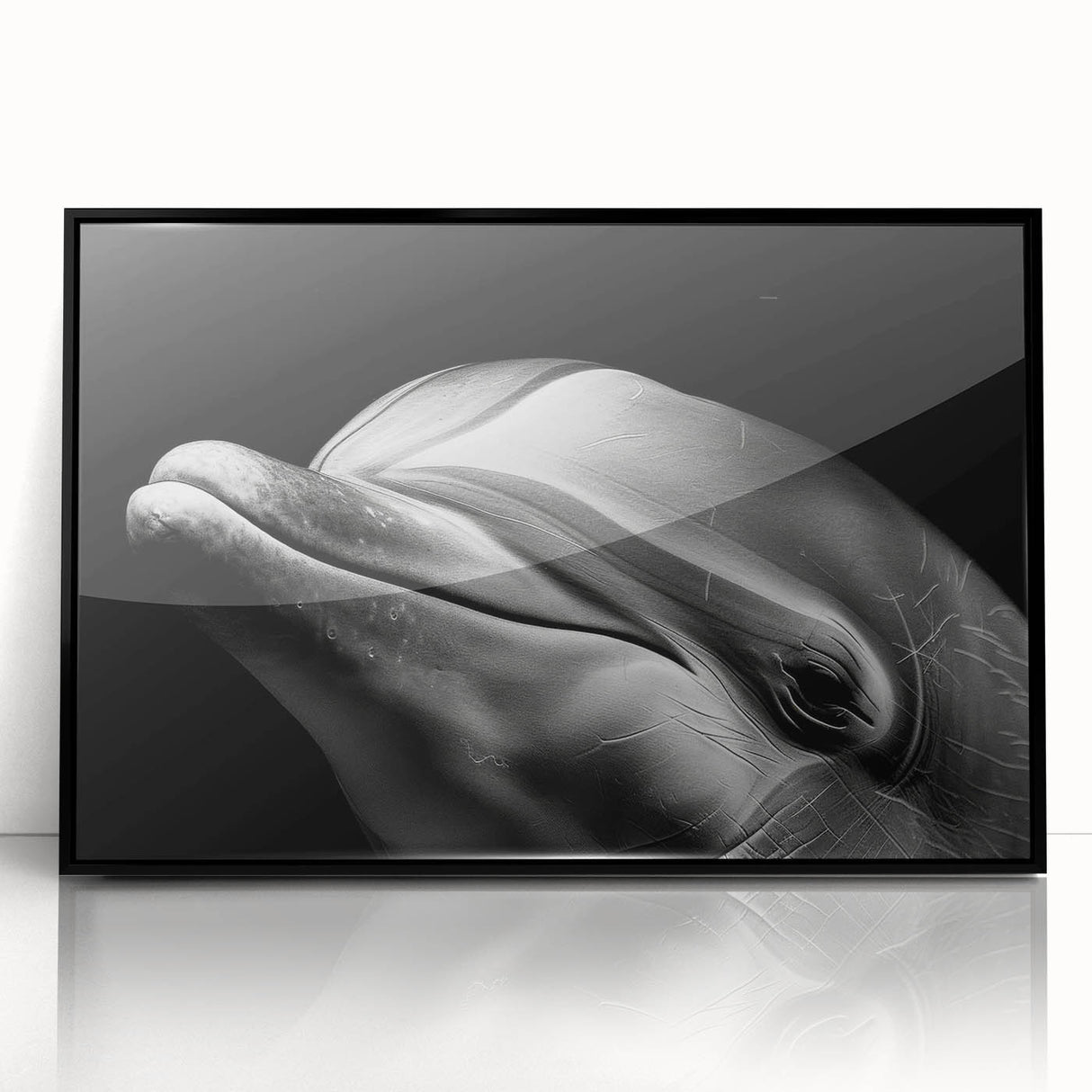 Framed wall art showcasing a dolphin design in vibrant colors, featuring a sleek black frame and glossy acrylic finish, perfect for marine life enthusiasts.