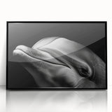 Framed wall art showcasing a dolphin design in vibrant colors, featuring a sleek black frame and glossy acrylic finish, perfect for marine life enthusiasts.