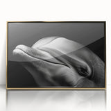 Framed wall art featuring a vibrant dolphin design in marine life theme, set against a gold-accented background, perfect for ocean lovers' decor.