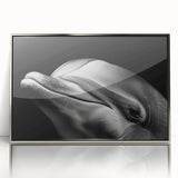 Framed wall art featuring a vibrant dolphin design on acrylic, with a sleek silver frame, perfect for marine life enthusiasts and coastal decor.