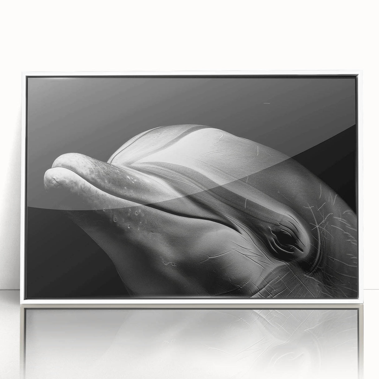 Framed wall art featuring a vibrant dolphin design in marine life theme, displayed in a white frame, ideal for coastal decor and ocean lovers.
