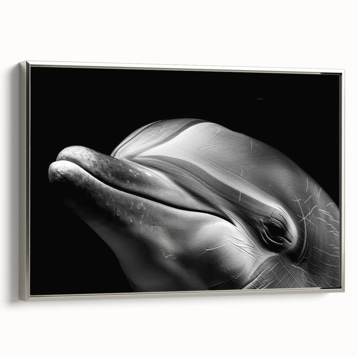 Framed canvas wall art showcasing a vibrant dolphin design, featuring intricate marine life details and a sleek silver frame, perfect for ocean-themed decor.