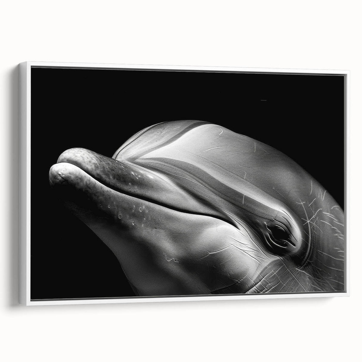 Framed canvas wall art showcasing a vibrant dolphin design in marine colors, highlighting intricate details, set against a white background, ideal for ocean-themed decor.