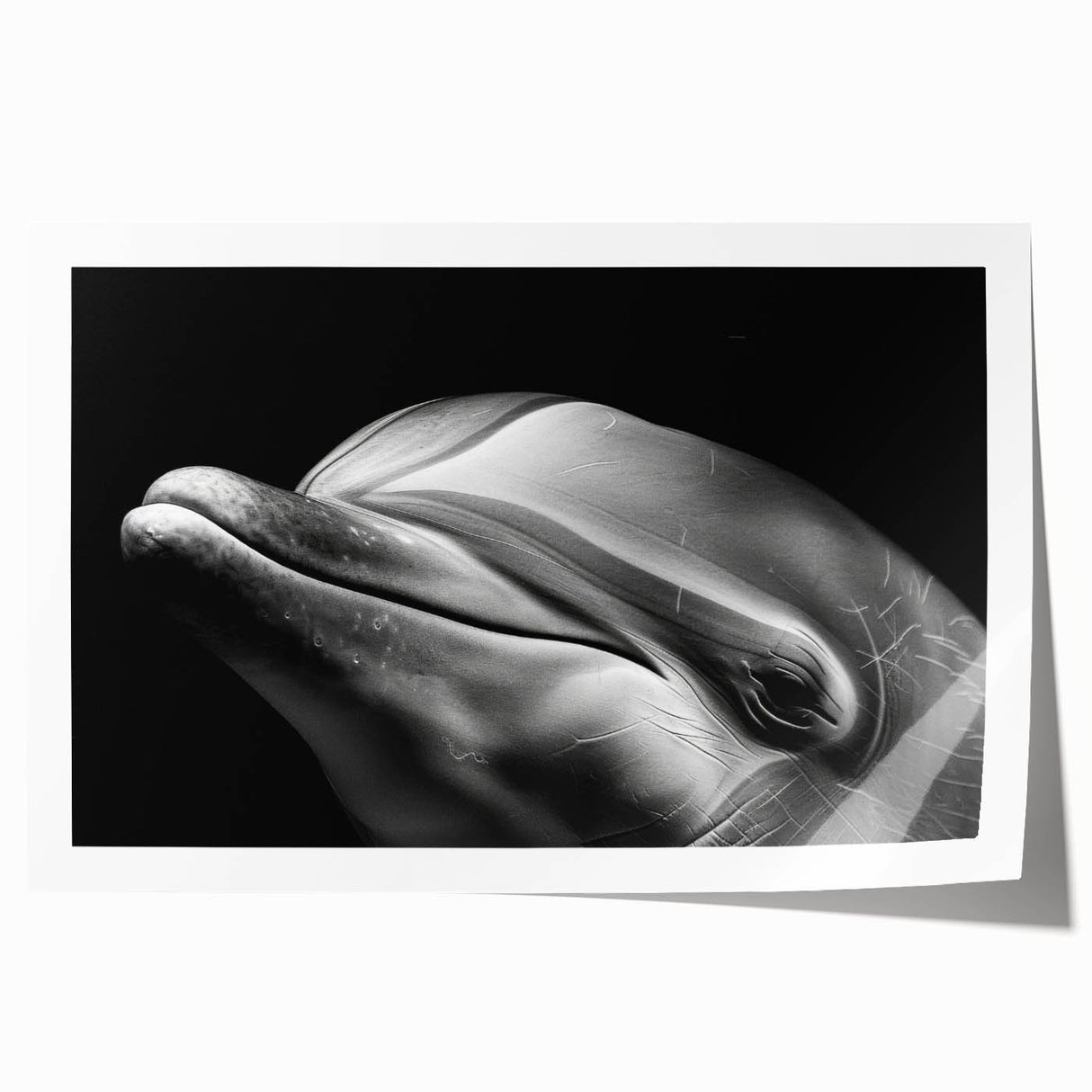 Vibrant dolphin-themed wall art print featuring intricate marine life designs in rich blues and greens, ideal for ocean lovers and home decor enthusiasts.