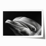 Vibrant dolphin-themed wall art print featuring intricate marine life designs in rich blues and greens, ideal for ocean lovers and home decor enthusiasts.