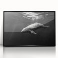 Framed acrylic wall art featuring a vibrant dolphin design, set against a sleek black frame, perfect for marine life enthusiasts and modern decor.