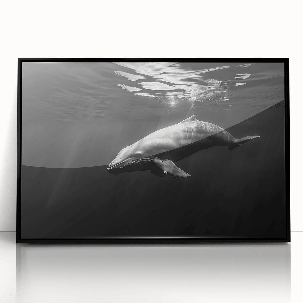 Framed acrylic wall art featuring a vibrant dolphin design, set against a sleek black frame, perfect for marine life enthusiasts and modern decor.