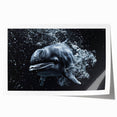 Colorful dolphin-themed wall art print showcasing vibrant marine life design, perfect for coastal decor; rolled and ready for framing or display.