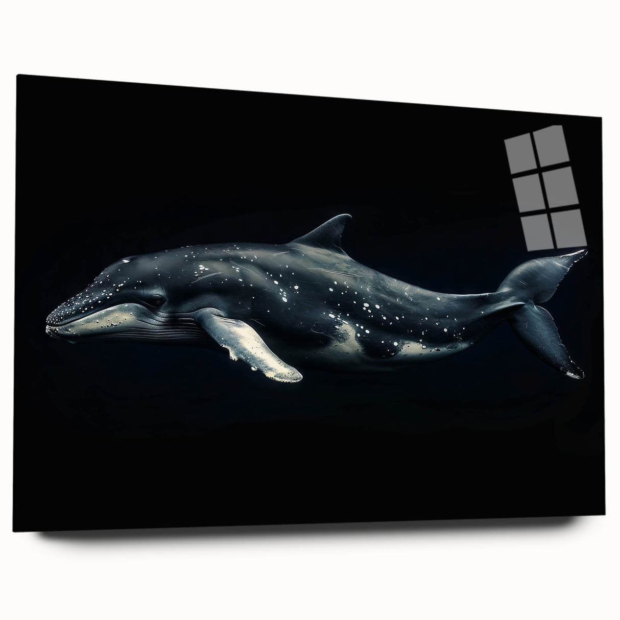 Acrylic wall art collection showcasing a vibrant dolphin design, displayed in a sleek side view without pins, perfect for marine-themed decor.