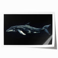 Vibrant rolled print of marine life featuring a playful dolphin design, perfect for ocean-themed decor, showcasing rich colors and intricate details. Ideal for adding a touch of nature to any wall space.