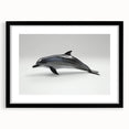 Framed wall art featuring a striking dolphin design in a black frame with a mat, showcasing marine life themes, perfect for ocean-inspired decor.
