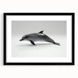 Framed wall art featuring a striking dolphin design in a black frame with a mat, showcasing marine life themes, perfect for ocean-inspired decor.