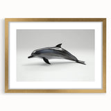 Elegant wall art frame showcasing a dolphin design from the Marine Life collection, featuring a gold mat and front view display, perfect for coastal decor. Ideal for marine enthusiasts or ocean-themed interiors.