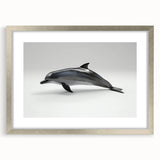 Framed wall art featuring a sleek silver border showcasing a vibrant dolphin design, perfect for marine life enthusiasts, enhancing home decor with a modern touch.