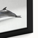 Close-up of a framed canvas wall art featuring a vibrant dolphin design in a marine life theme, showcasing intricate details and vivid colors, perfect for ocean enthusiasts.