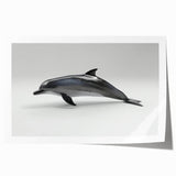 Colorful wall art print showcasing a playful dolphin design, capturing marine life in vibrant hues, perfect for ocean-themed decor and children's rooms.