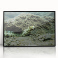 Framed acrylic wall art depicting a vibrant marine life eel design, showcasing intricate details in blue and green hues, perfect for ocean-themed decor.
