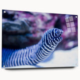 Marine life wall art collection featuring an acrylic glass design showcasing vibrant underwater scenes, beautifully presented in a side view with decorative pins.