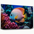 Marine life-themed wall art collection featuring vibrant fish designs printed on acrylic glass, displayed from the side with decorative pins, ideal for oceanic decor.