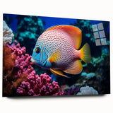 Vibrant wall art collection showcasing a colorful marine life fish design printed on acrylic glass, captured from a side view, perfect for ocean-themed decor.