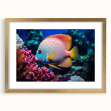 Framed wall art showcasing a vibrant marine life fish design with a gold matting, perfect for ocean-themed home decor. Ideal for aquatic enthusiasts and stylish interiors.