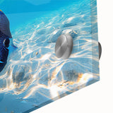 Colorful marine life wall art collection featuring a close-up of vibrant fish designs on acrylic glass, perfect for ocean-themed decor and home aesthetics.