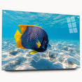 Colorful marine life fish design wall art collection displayed in acrylic glass, showcasing vibrant aquatic colors and intricate details, ideal for ocean-themed decor.