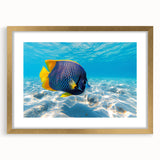 Gold-framed wall art featuring a vibrant marine life fish design, showcasing colorful aquatic species against a serene blue background, perfect for ocean-themed decor.