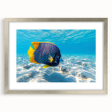 Framed wall art showcasing a vibrant marine life fish design with a silver frame and matting, perfect for ocean-themed decor. Ideal for enhancing home aesthetics.