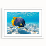 Framed marine life wall art collection featuring colorful fish designs with a white mat, ideal for ocean-themed decor in living spaces or offices.