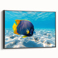 Framed canvas wall art showcasing a vibrant marine life fish design in a black frame, highlighting colorful aquatic species, perfect for ocean-themed decor.