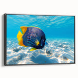 Framed canvas wall art showcasing a vibrant marine life fish design in a black frame, highlighting colorful aquatic species, perfect for ocean-themed decor.