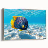 Framed canvas wall art showcasing a vibrant marine life fish design in silver frame, perfect for adding a colorful touch to any ocean-themed decor.