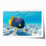 Colorful marine life fish design wall art print featuring vibrant aquatic colors and intricate details, perfect for ocean-themed decor or art collections.