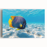 Stretched canvas wall art showcasing a vibrant marine life fish design, featuring colorful aquatic elements and a contemporary aesthetic, perfect for ocean-themed decor.