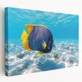 Vibrant stretched canvas wall art showcasing a marine life fish design, featuring colorful aquatic species and intricate details, perfect for ocean-themed decor.
