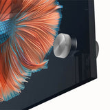 Close-up of vibrant marine life wall art featuring a colorful fish design, printed on acrylic glass, ideal for enhancing aquatic-themed decor in homes or offices.