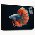 Vibrant marine life wall art collection displayed in acrylic glass, featuring colorful fish designs with a modern side view and subtle pin details, perfect for ocean-themed decor.
