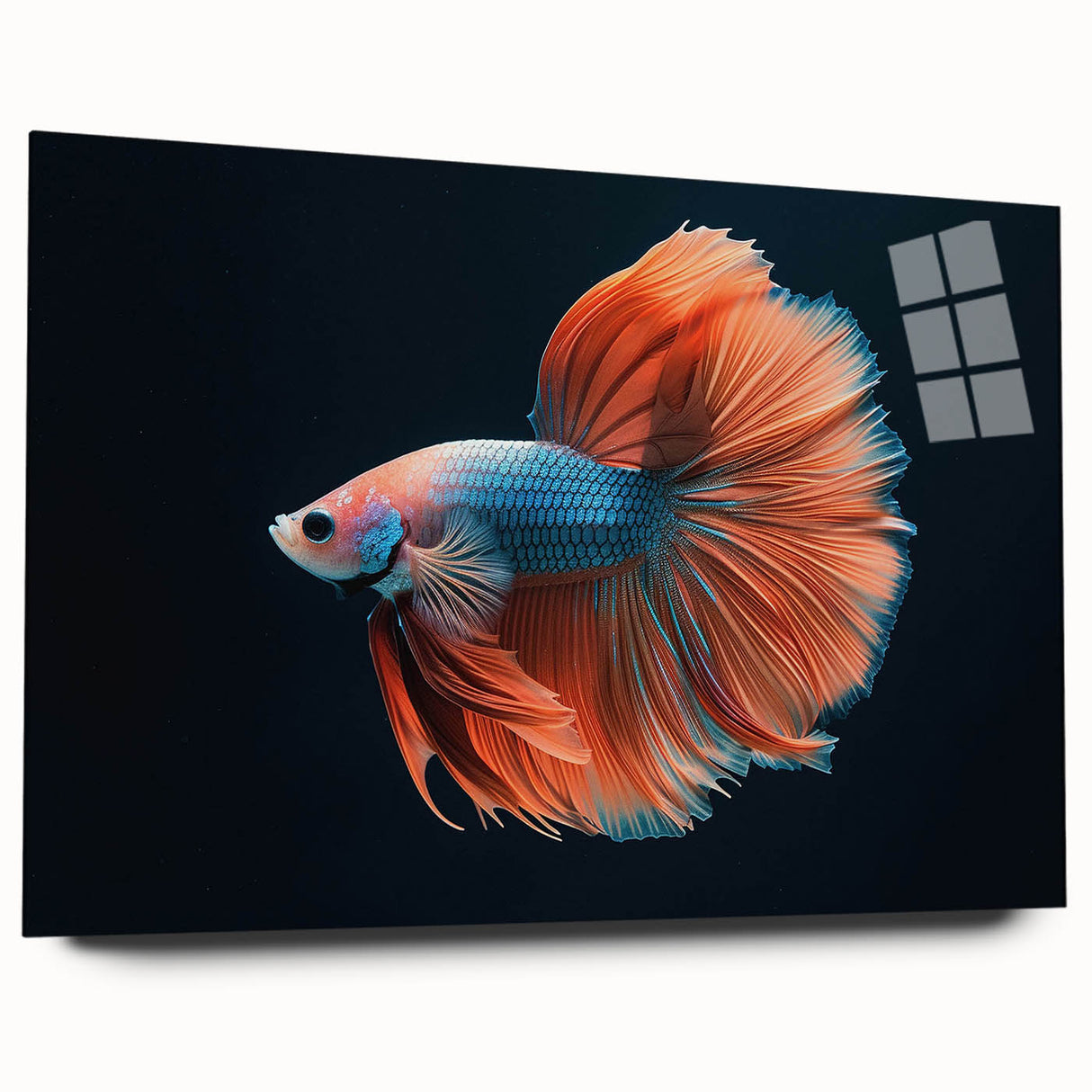 Vibrant marine life wall art collection displayed in acrylic glass, showcasing colorful fish designs on a sleek surface, perfect for ocean-themed decor.