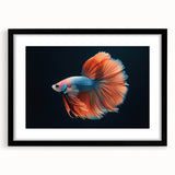 Black-framed wall art collection showcasing vibrant marine life fish design, featuring intricate details and colors, ideal for ocean-themed decor in living spaces.