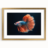 Framed marine life wall art collection featuring colorful fish designs, elegant gold matting, and a contemporary frame, perfect for ocean-themed decor.