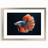 Framed marine life wall art collection featuring vibrant fish designs in a sleek silver frame, ideal for enhancing ocean-themed decor. Perfect for aquatic enthusiasts.