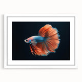 Framed marine life wall art collection featuring colorful fish designs, set against a white mat and frame. Ideal for ocean-themed home decor, enhancing any room's ambiance.