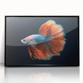 Framed acrylic wall art showcasing a vibrant marine life fish design, featuring a black frame and vivid colors, perfect for ocean-themed decor and enhancing living spaces.