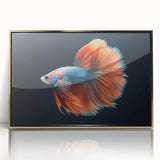 Framed acrylic wall art featuring a vibrant marine life fish design in gold, perfect for adding a touch of ocean-themed elegance to any decor.